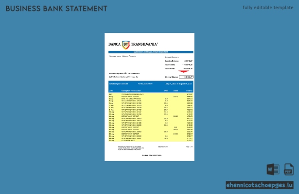 Beispiel eines Kontoauszugs der Banca Transilvania (Word- und PDF-Datei)